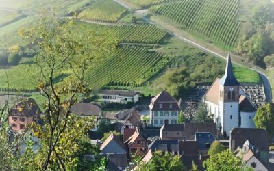 Randonnée Albé – Val de Villé 2026